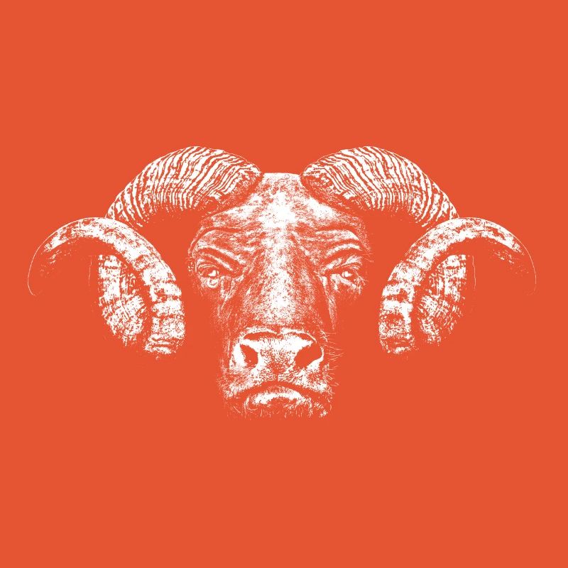 Minotaur / Head