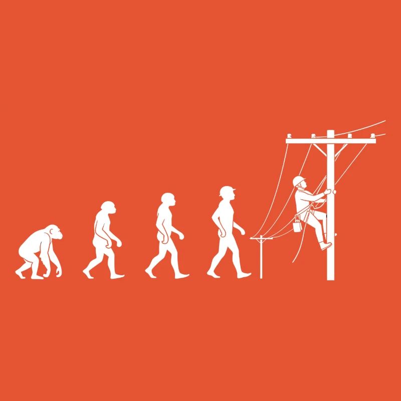 Evolution zur Netztechnik