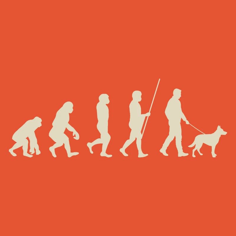 Illustration de l’évolution de l’humanité
