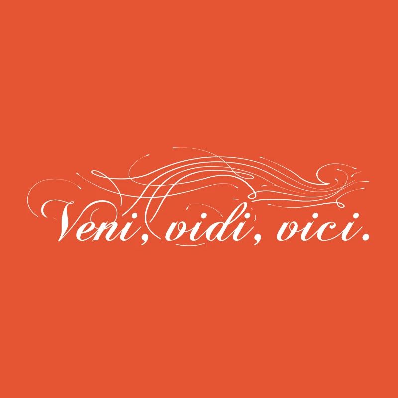 Veni vidi vici