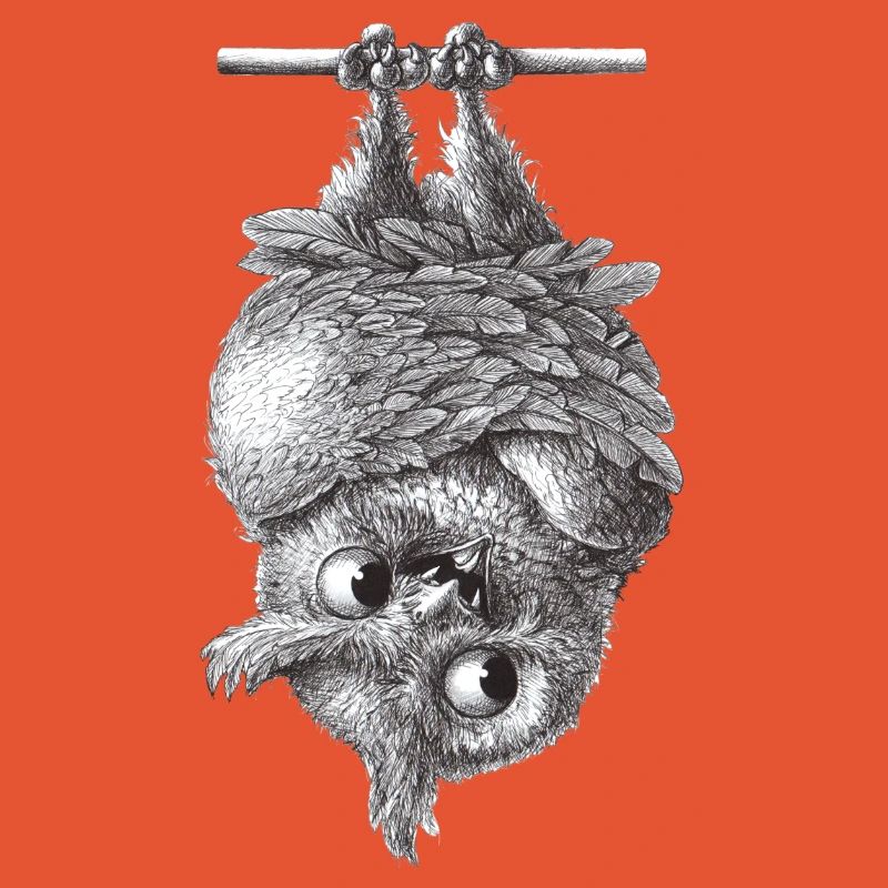 Vampire Owl - Dracula Owl