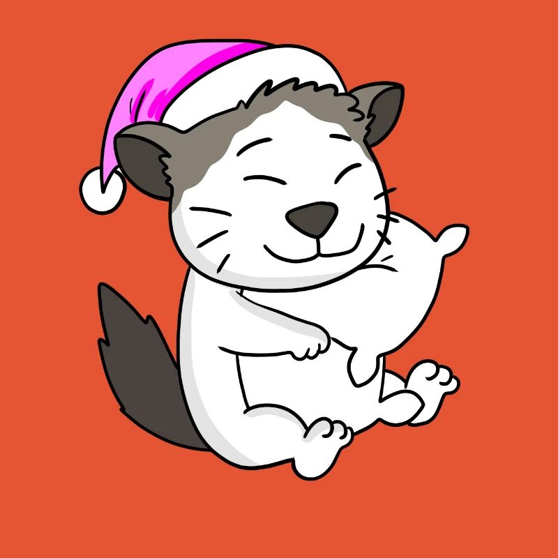 Katze Katzenrasse Ragdoll