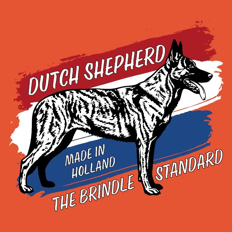 Berger hollandais - Dutchie