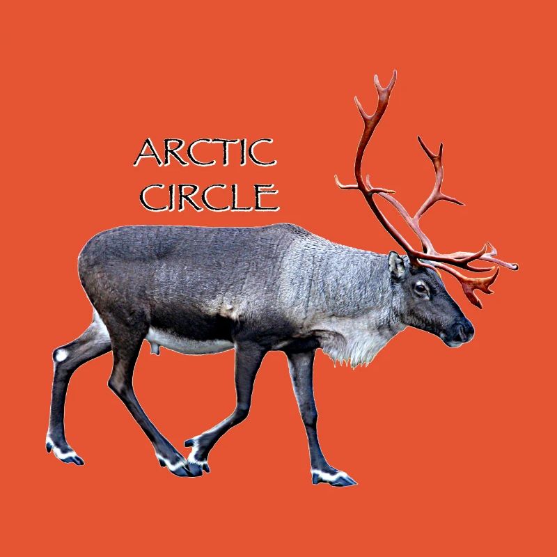Arctic Circle