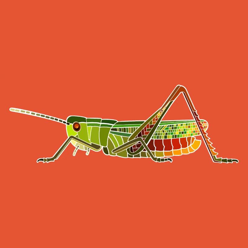 Heath grasshopper