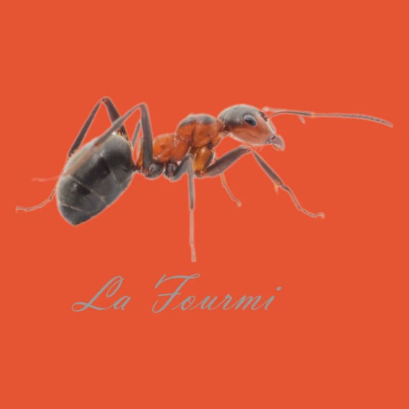 la fourmi