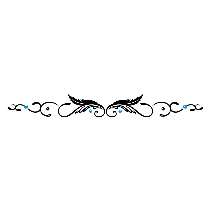 Ornament with two feathers, indian style.
