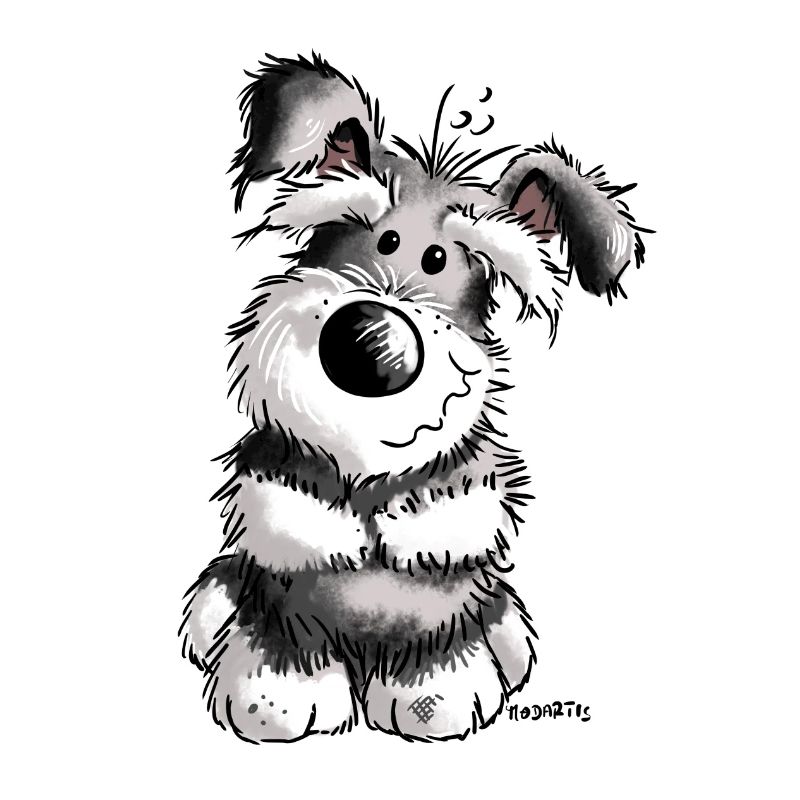 Doux Schnauzer - Chien - Chiot - Cadeau