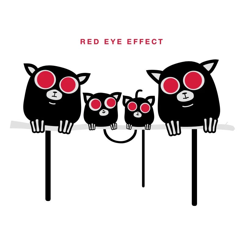 Red-Eye-Maki – der süßeste Blitzunfall der Welt