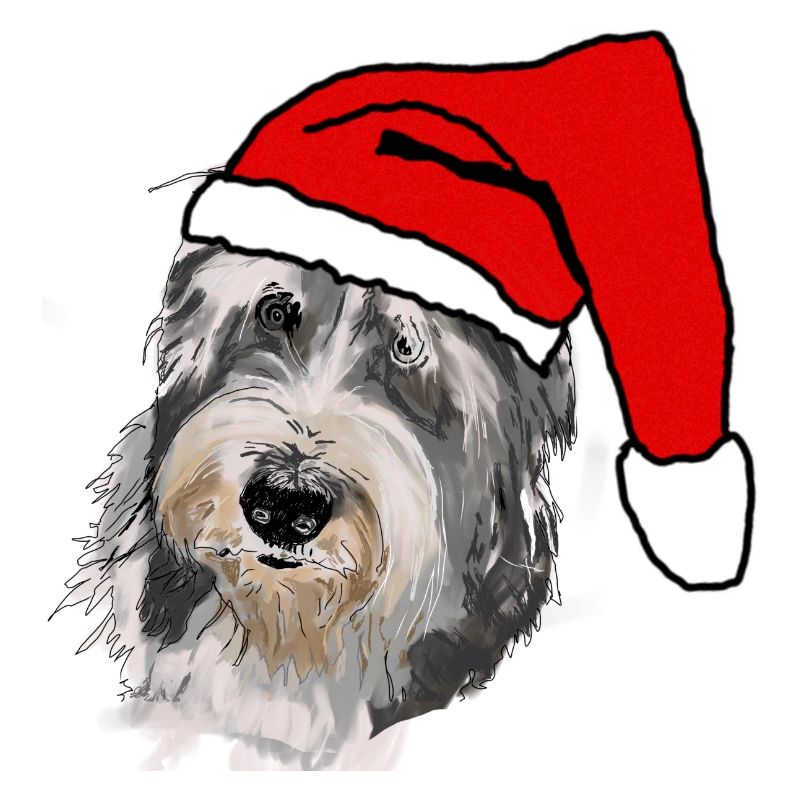 Collie barbu