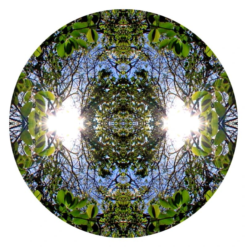Nature Mandala Source à Nbg Erlenstegen