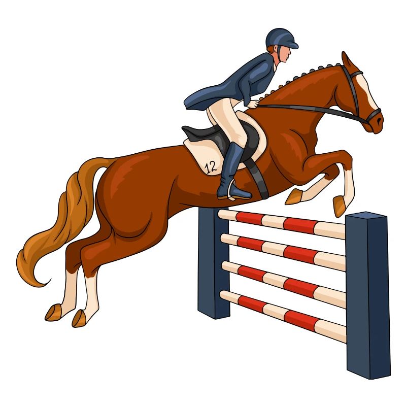 cheval, cavalier, équitation