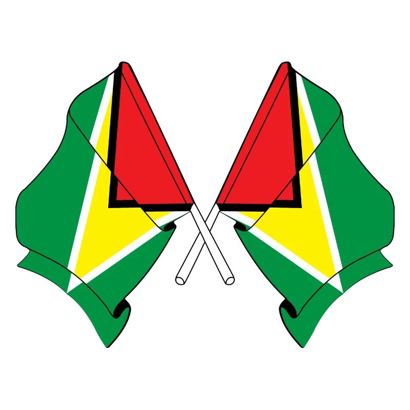 Deux drapeaux croisés de la Guyane