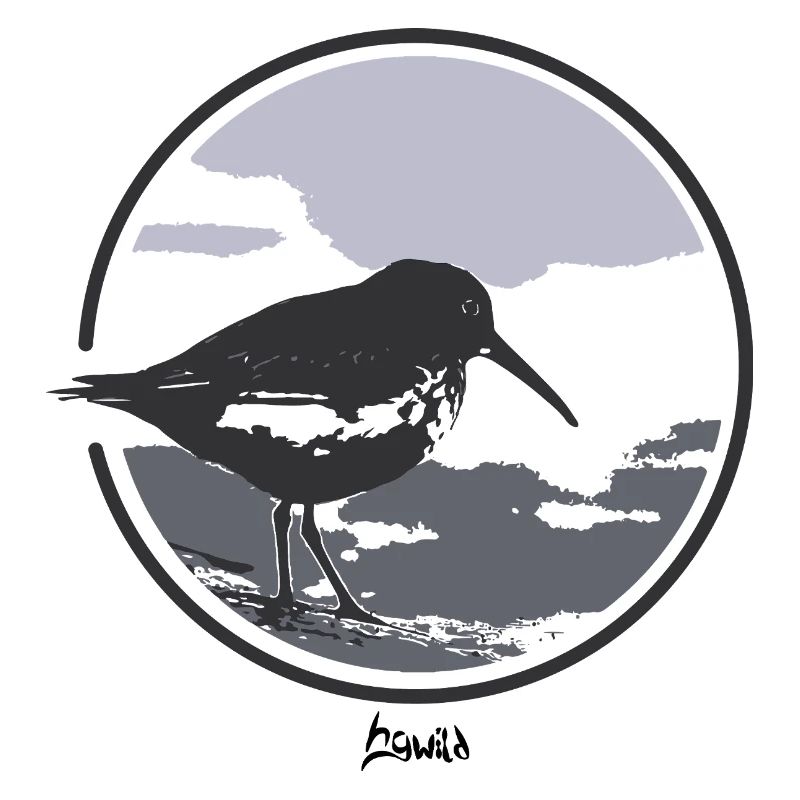 HGWILD - Bécasseau variable