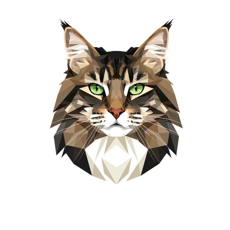 Cat Norwegian Forest Cat Norwegian Forest Cats