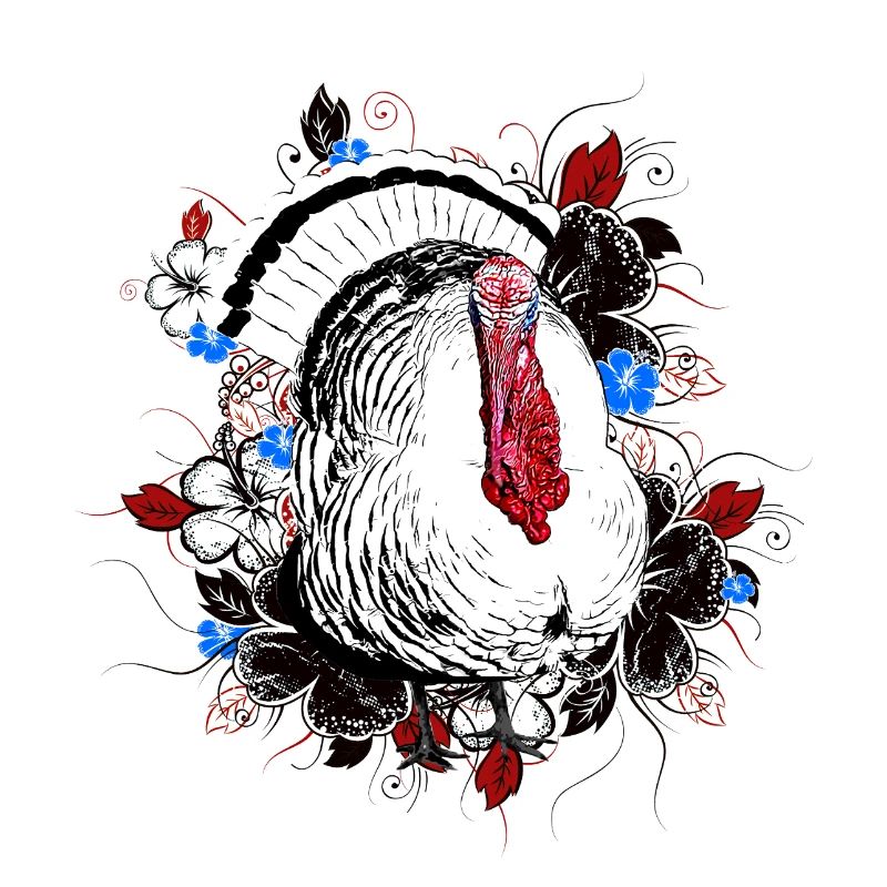 Dinde - Dinde - Thanksgiving
