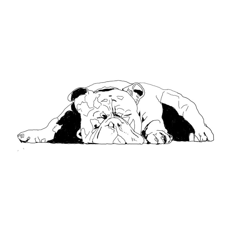 Bouledogue