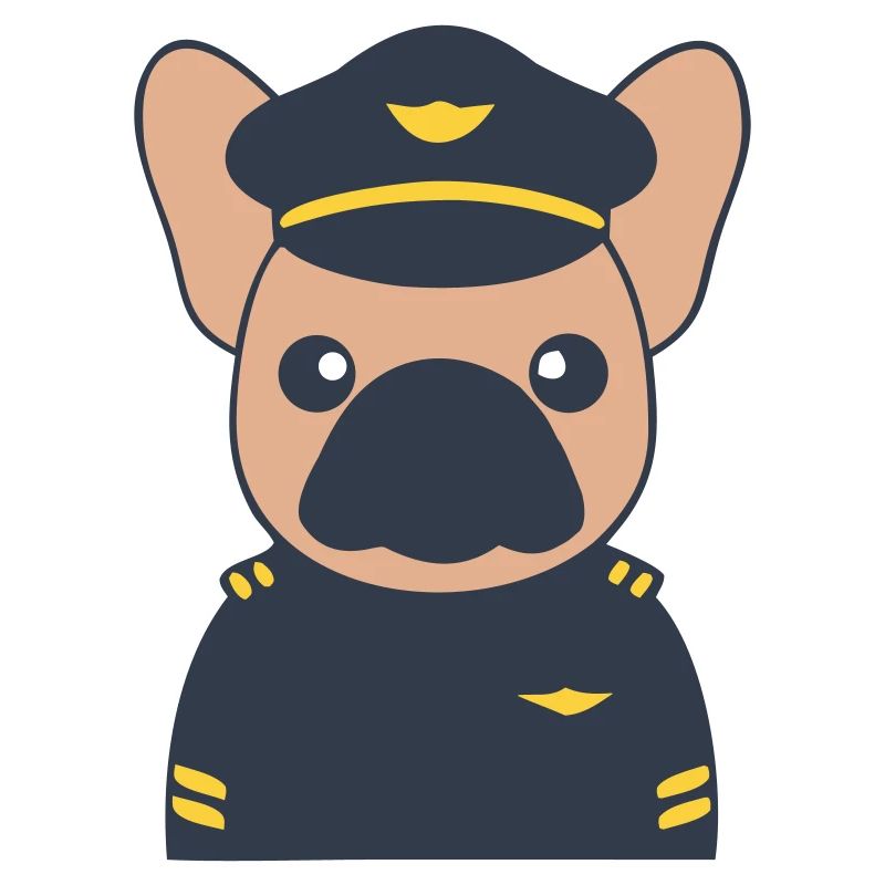 Frenchie Pilot Captain Uniform
