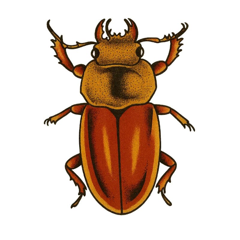Estampe Crimson Bug
