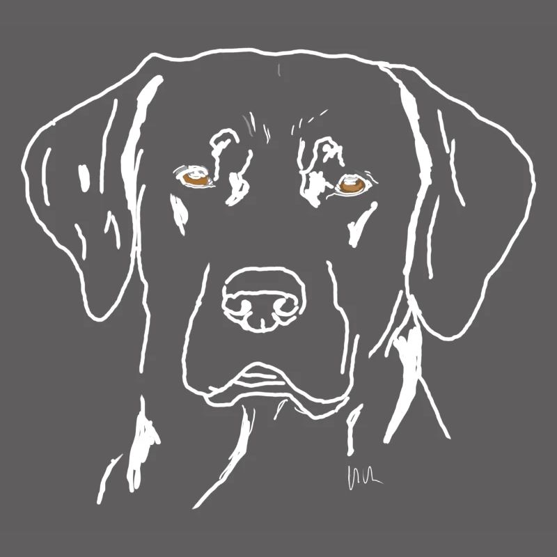 Labrador