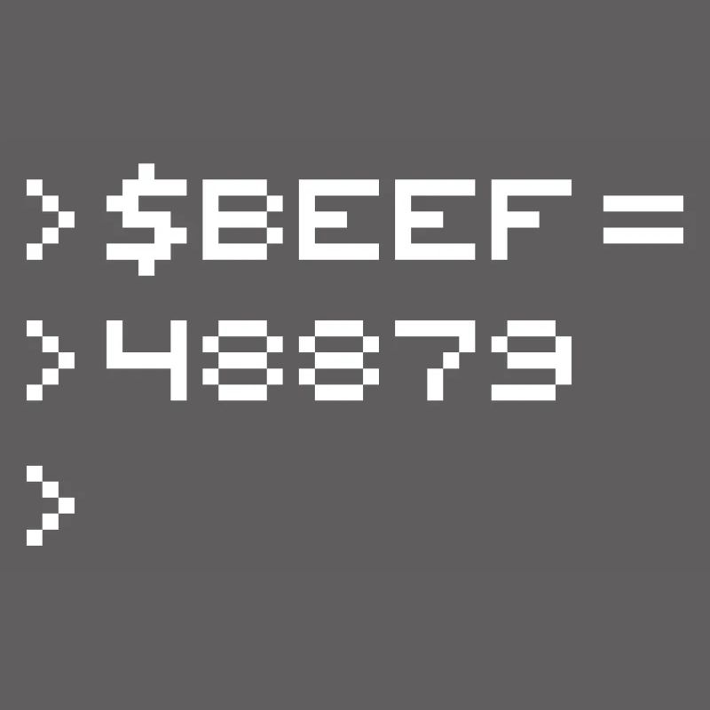 BEEF 8-bit Code Nerd Pixel Terminal Rétro