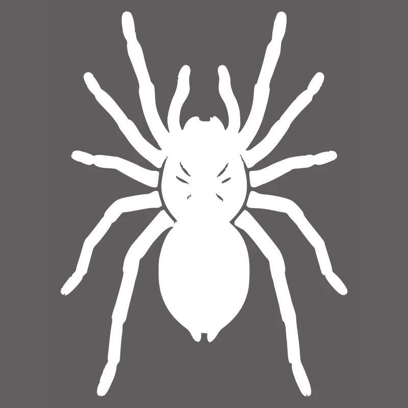 Tarantula Tarantula Realistic Vector