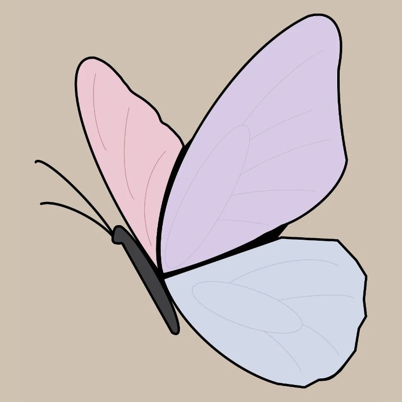 Conception de papillon pastel