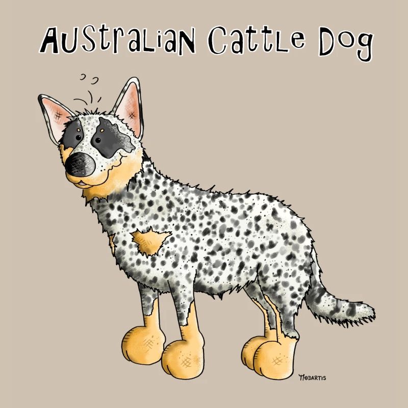 Bouvier Australien - Australian Cattle Dog