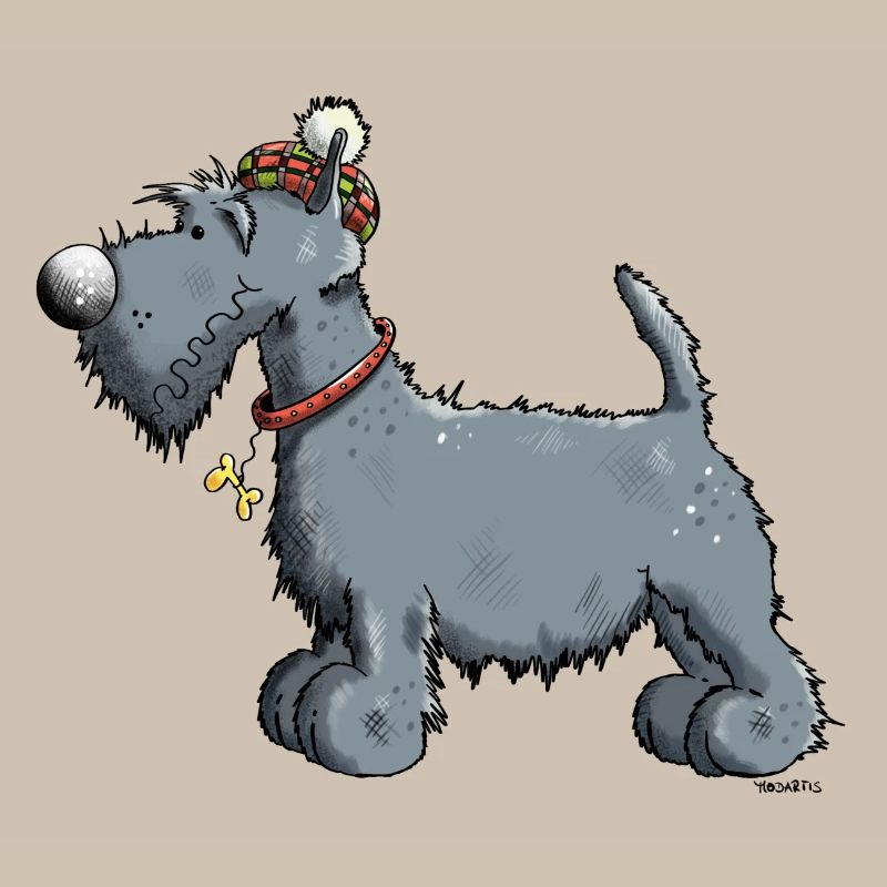 Terrier écossais - Scottish Terrier
