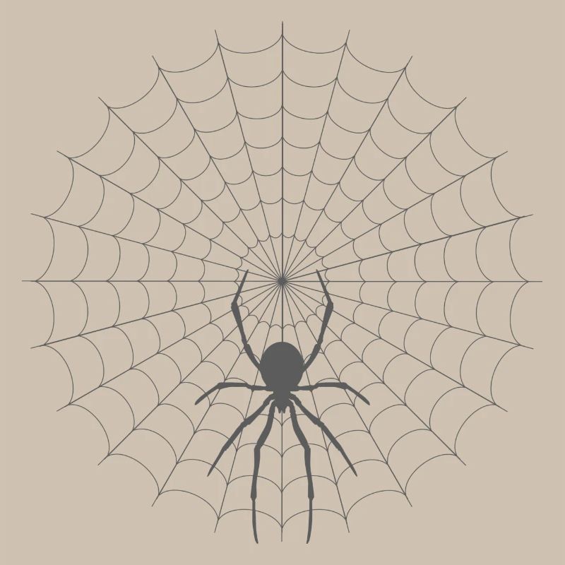Silhouette de toile d’araignée