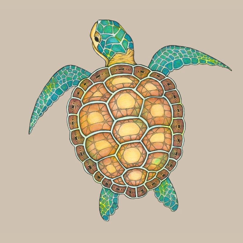 Sea Turtle Hand Drawn