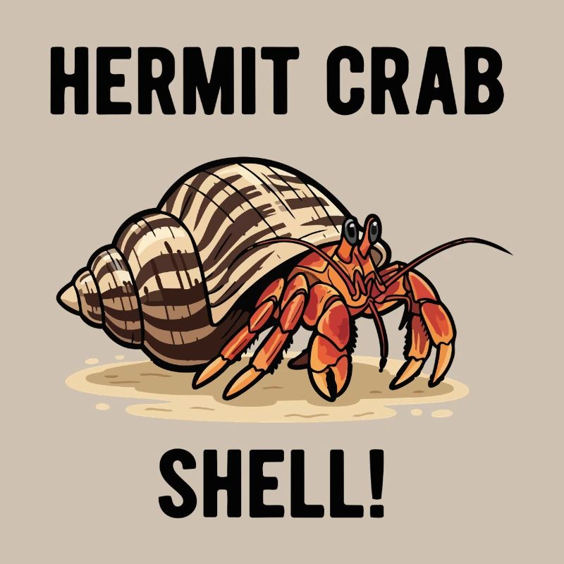 Bernard-l'ermite Shell Hermit Crab