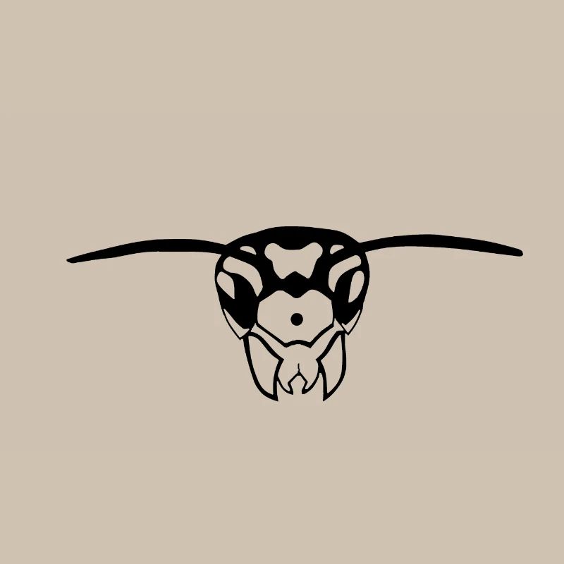 wasp