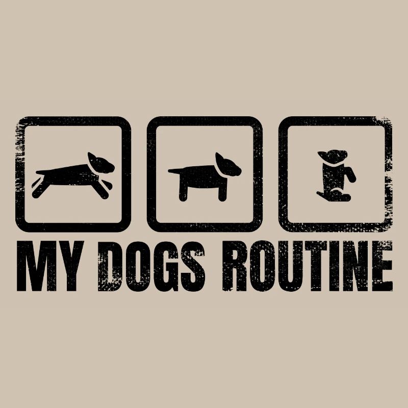 Hunde Routine