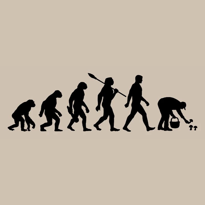 Evolution Cueilleurs de champignons, Cueillette de champignons