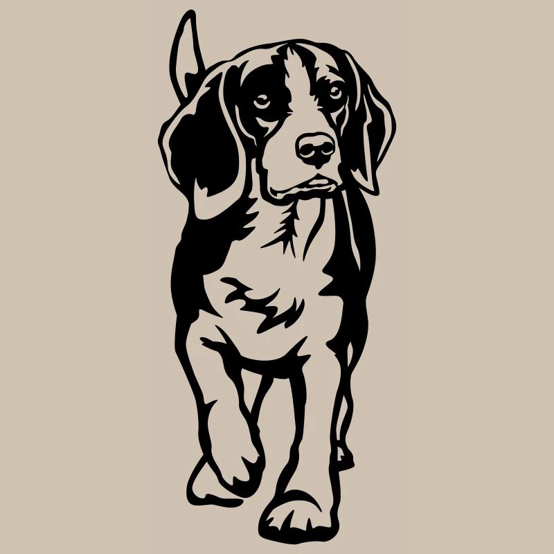 Beagle
