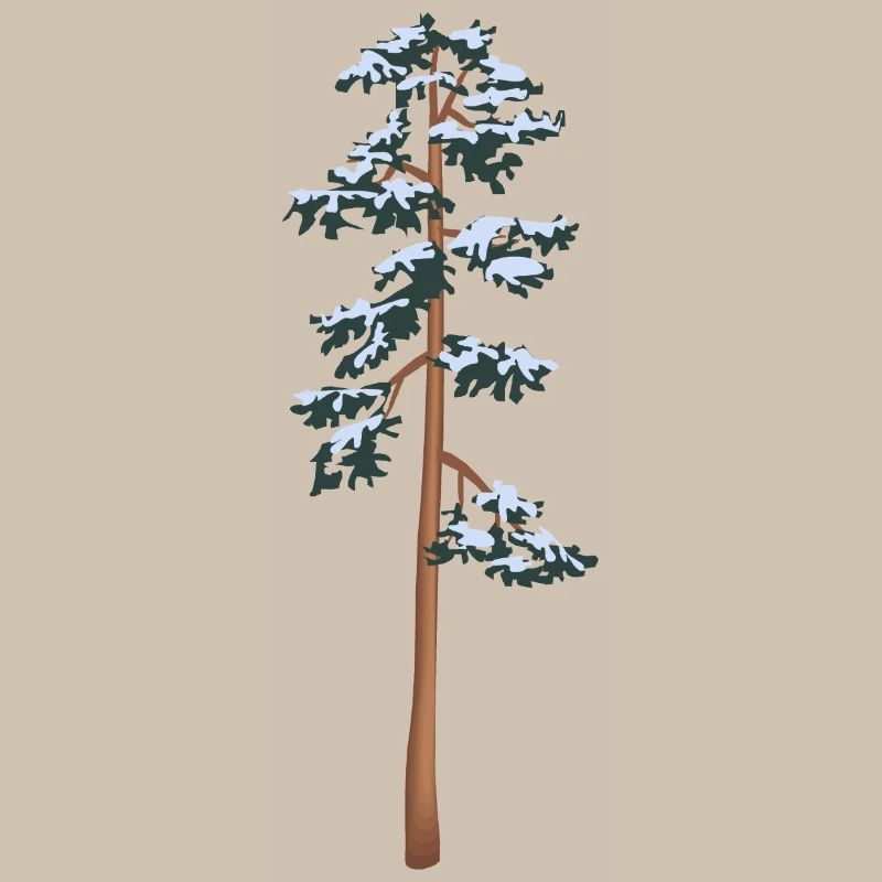 tall tree with snow