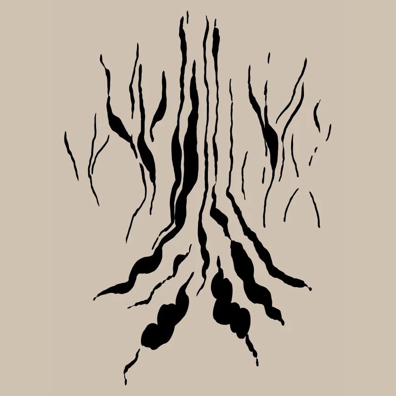Magic forest