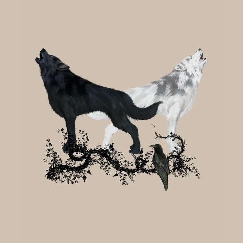 Stunning black and white wolf