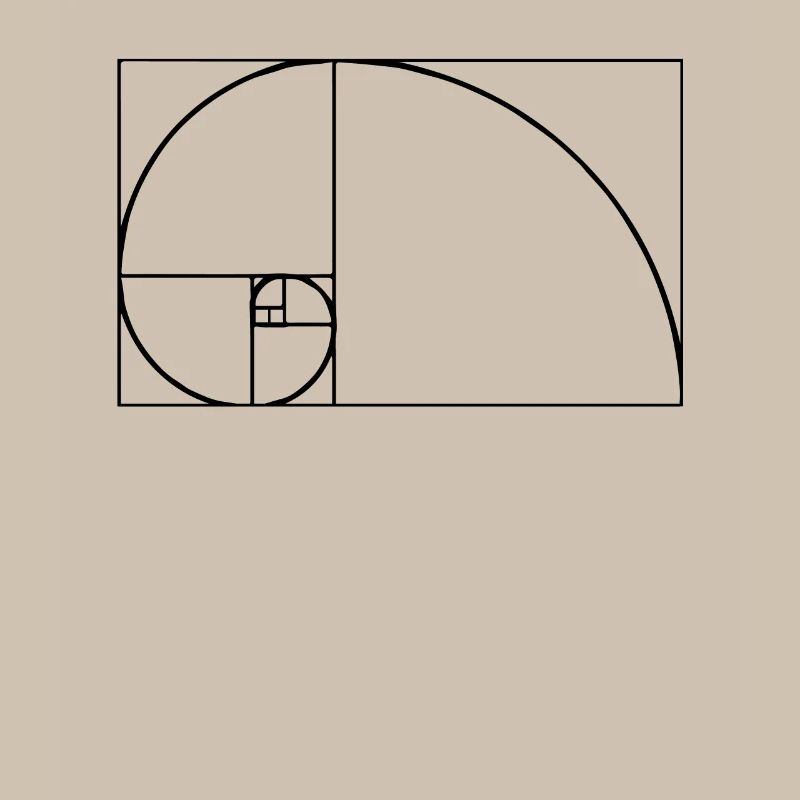 Fibonacci Tshirt