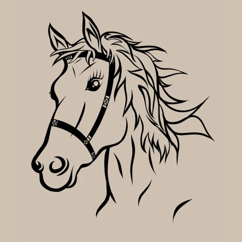 Pferdekopf Pferd Reiten Geschenk