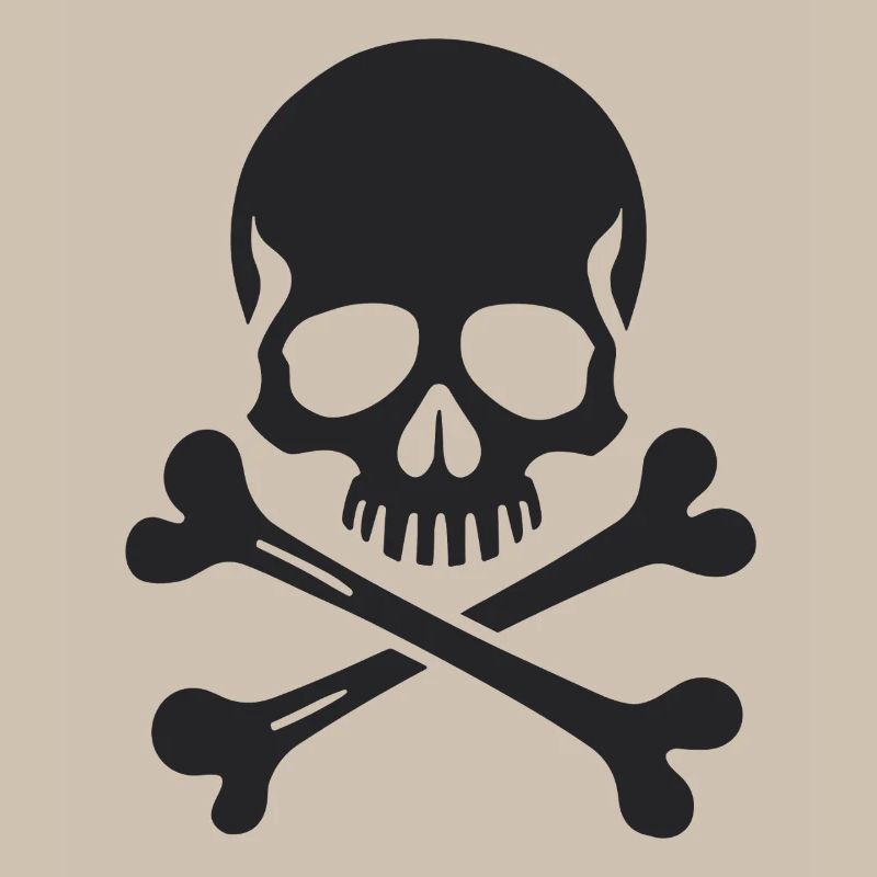 Crâne Jolly Roger classique