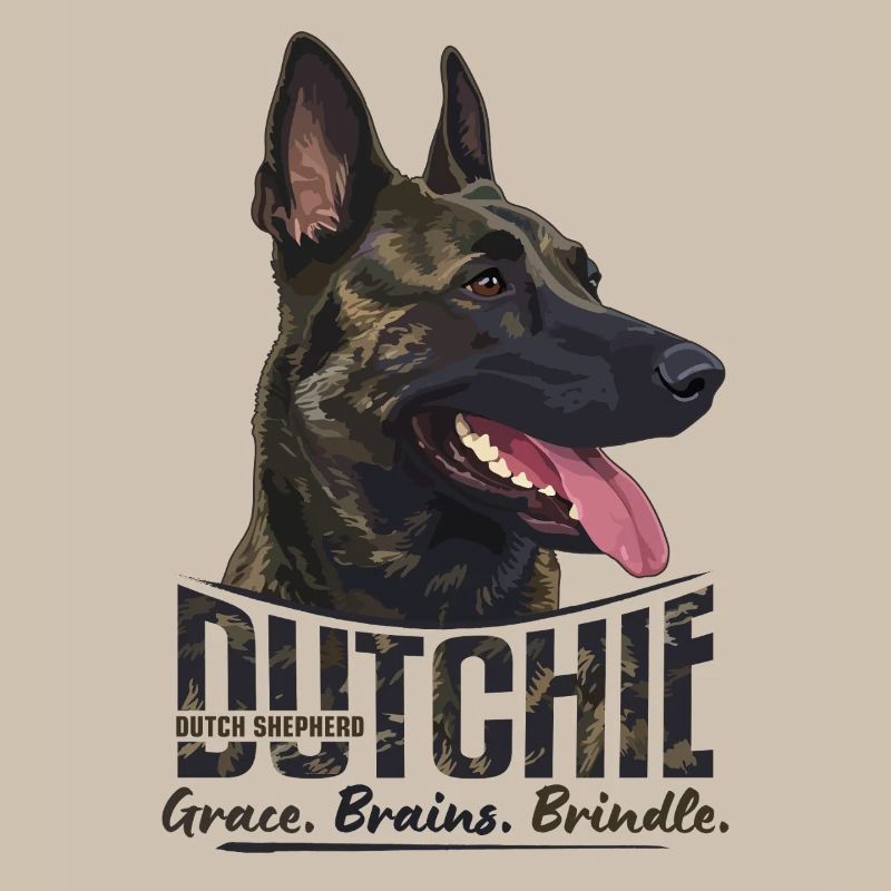 Dutchie - Holländischer Schäferhund