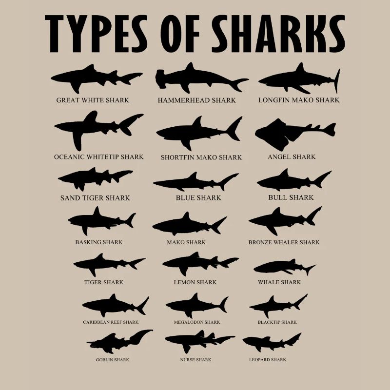 Tableau des types éducatifs d’espèces de requins