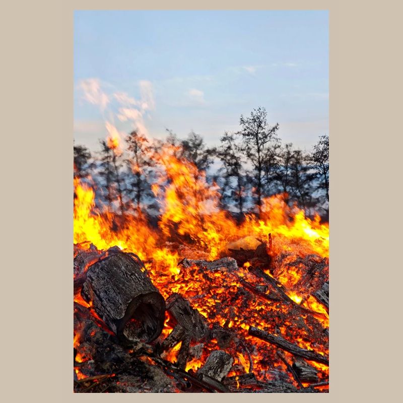 Affiche avec motif de feu de Pâques de Flame Inferno