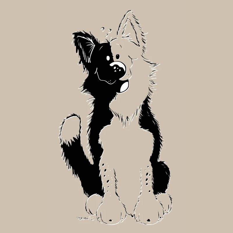 Cute Border Collie