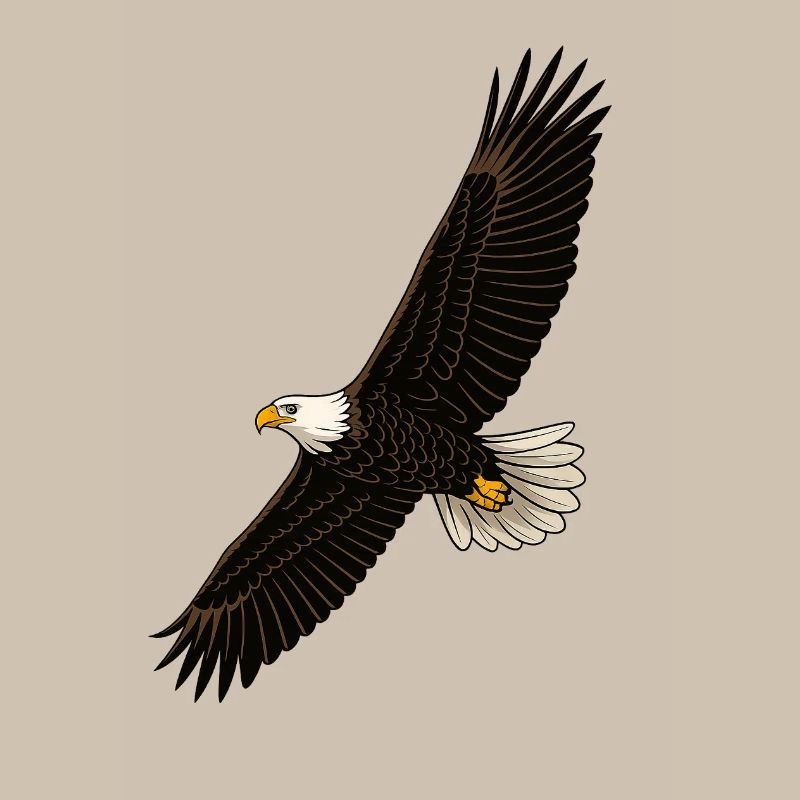 Eagle in Flight Distinct Graphics