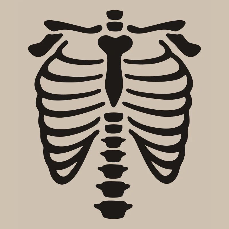 xray_vector