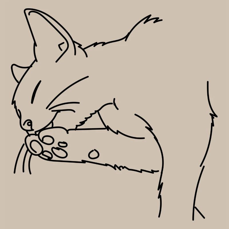 Chat