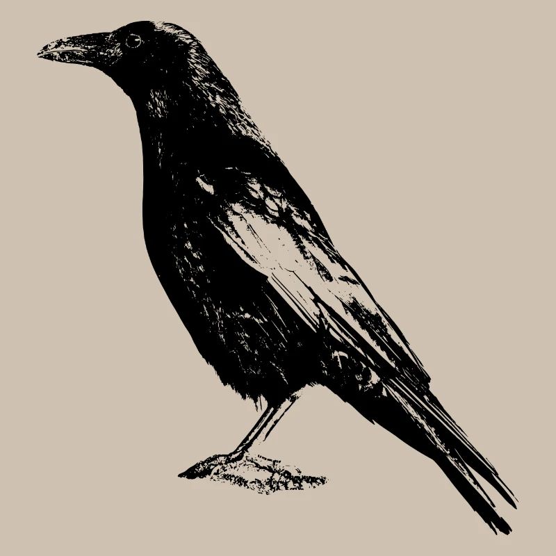 corbeau